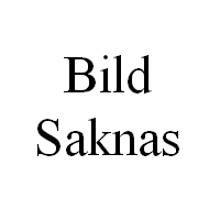 Bild1